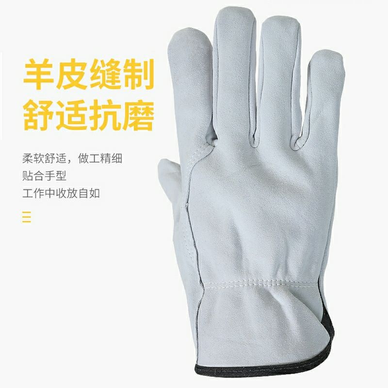 QQ图片20240618141940