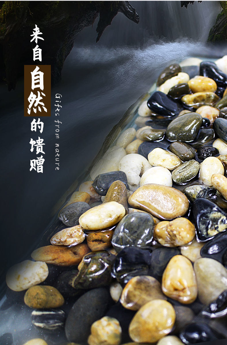 98761bae-d14f-4474-9a43-0950761c3887.jpe