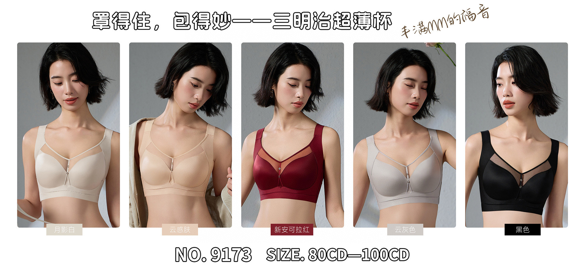 9173详情 (1)