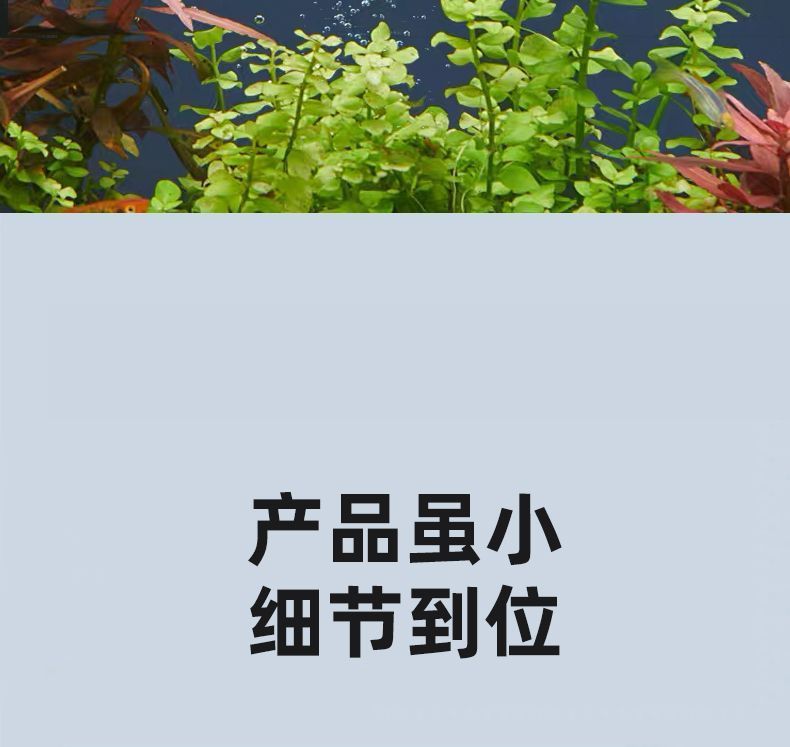 42b53798-6c74-4362-85b1-6fe55e7dc14e.jpe