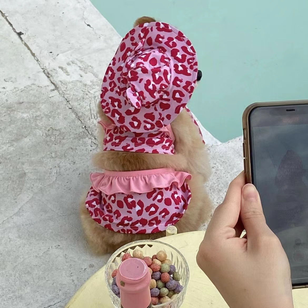 微信图片_20220528134026