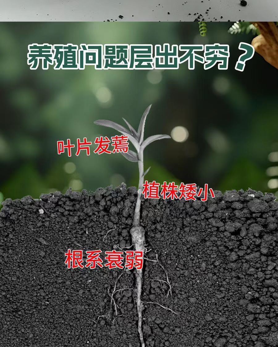 42ec9af9-a009-45b6-bf9a-508689cd58d6.jpe