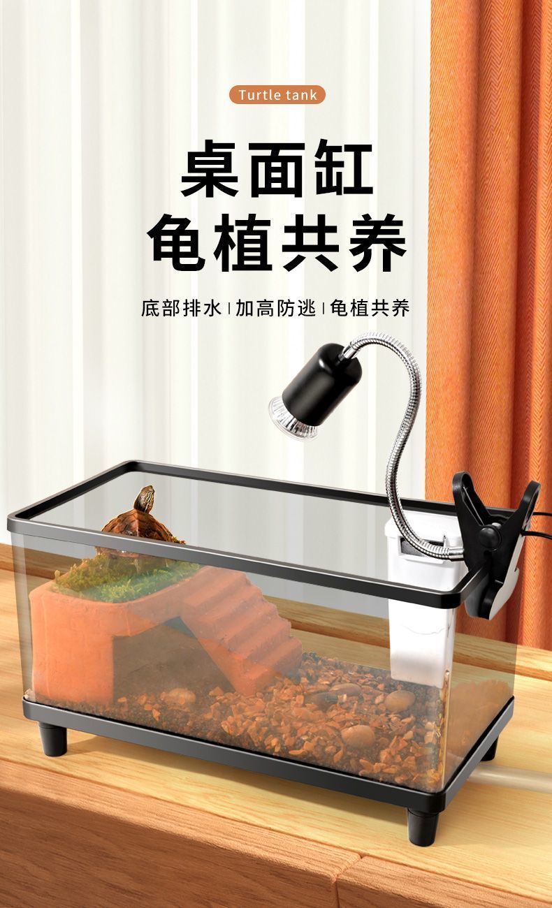 227eb754-a09c-4cac-b7a6-70d64a35cb0a.jpe