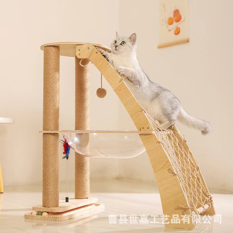 微信图片_20240923144312