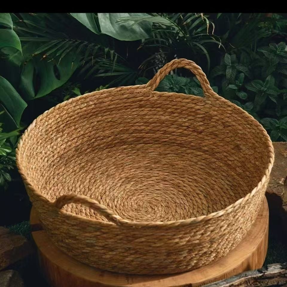 413bae33-3018-419e-a01f-3db0f1d7e70a.jpe