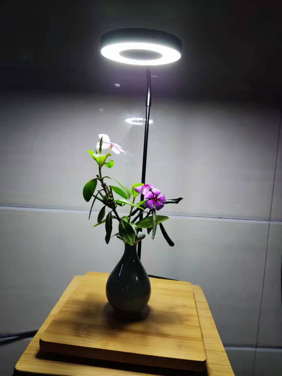 微信图片_20220323004231