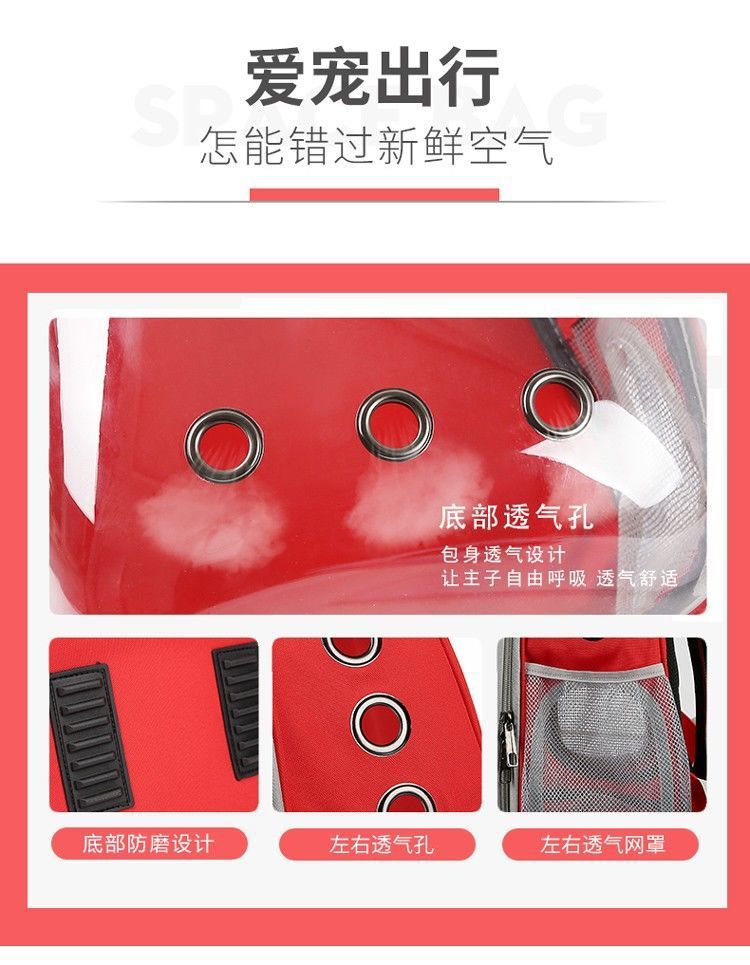1148536c-37b5-4ab3-91e8-c3848906a444.jpe