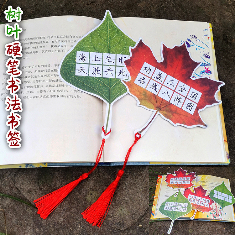 8cff108f-2b92-4c56-91f0-55f0427b1c7b.jpe