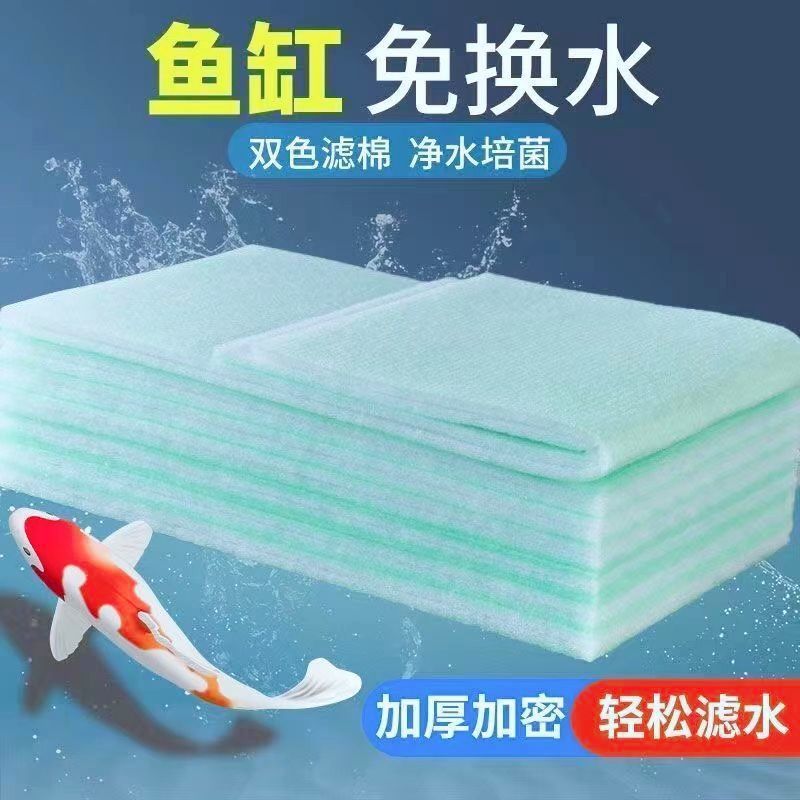 22517079-4afd-46e8-9ad6-ccda0b602691.jpe