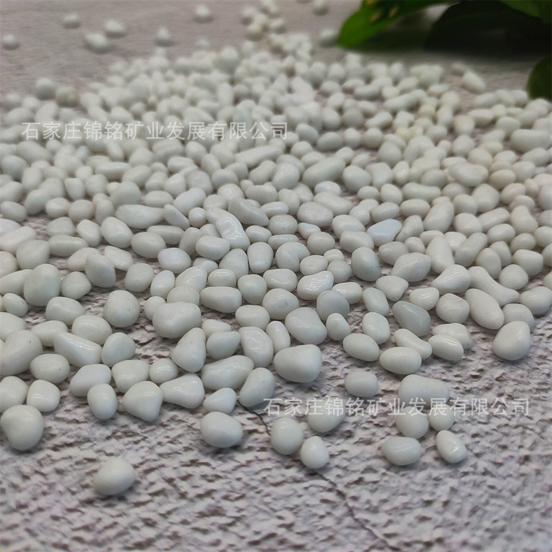 微信图片_20250513102835