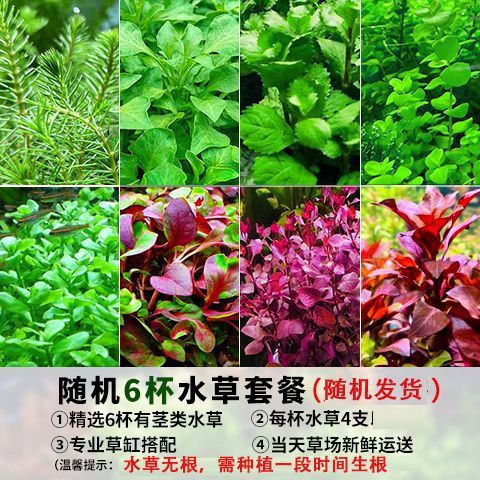 e720f5dd-c527-4b17-a51e-84b77e0566a2.jpe