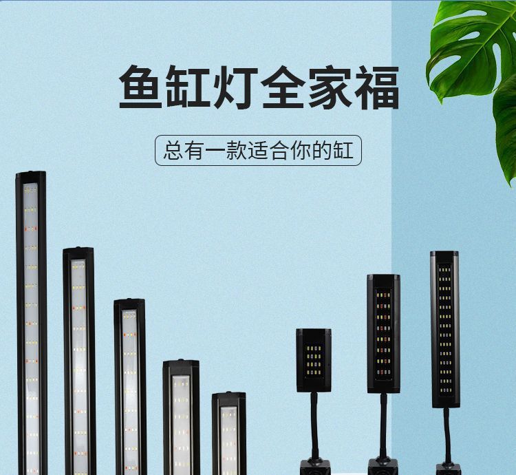 3e336482-fa25-4316-b40c-4bc3b7d3c4b9.jpe