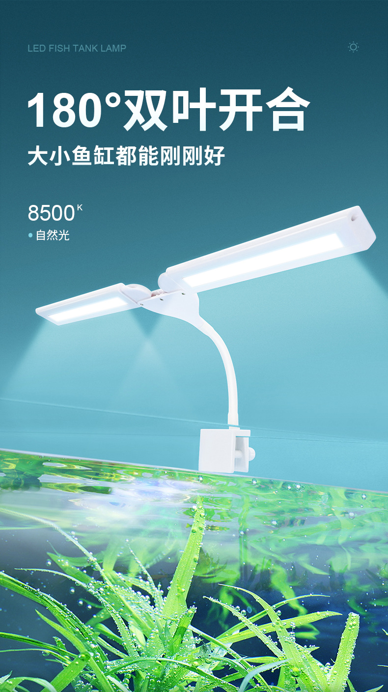 双叶水草_01.jpg
