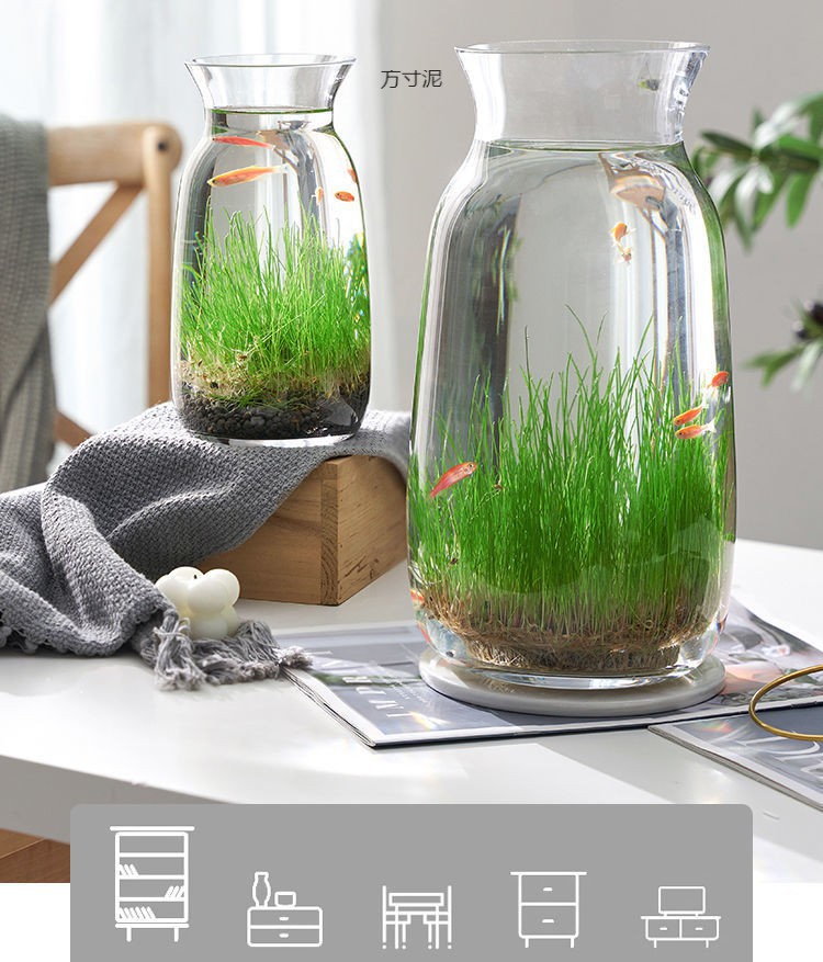 87e7305d-8304-494b-ad57-dedee649ee52.jpe