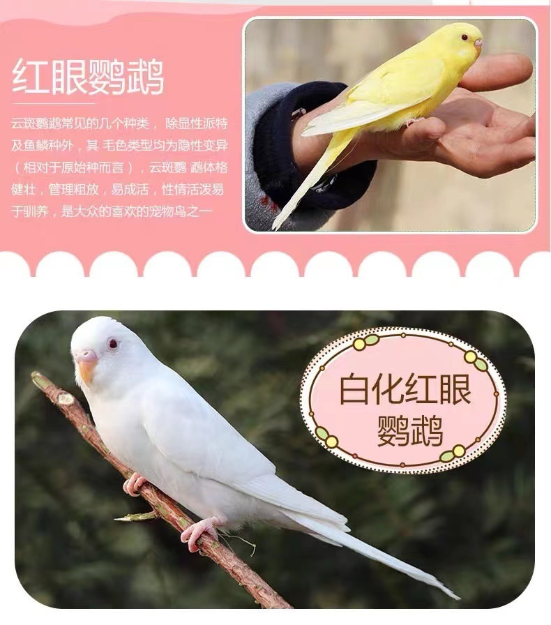 baaaddca-61e3-49d7-bf4e-66e1a940221f.jpe