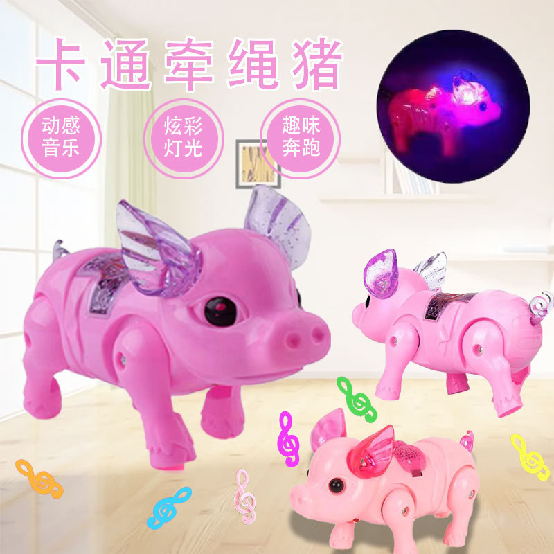 牵绳猪