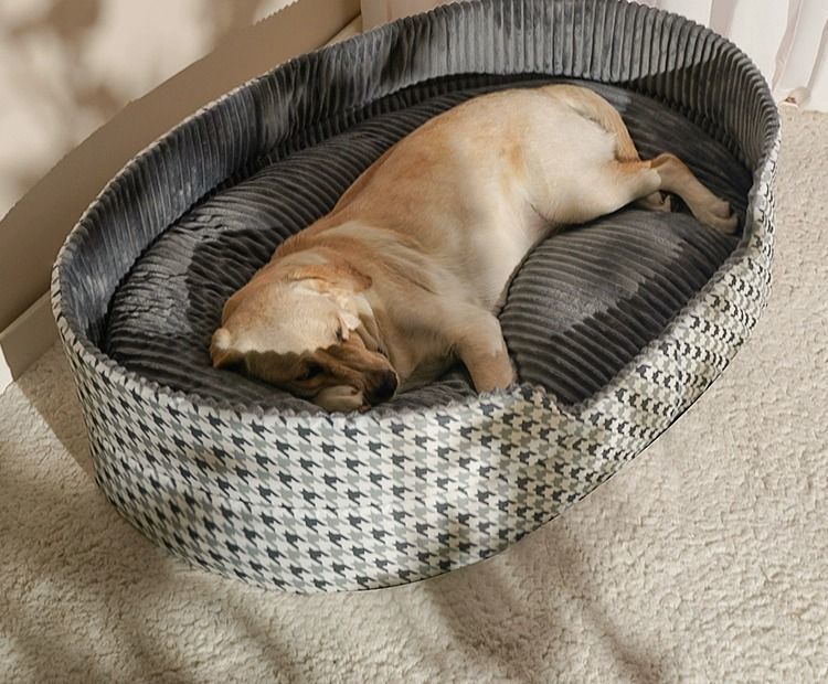 f413be97-91f7-416d-8865-33241060abec.jpe