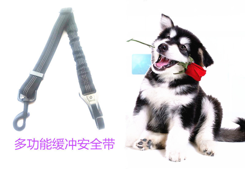 8906515684_423646838_副本_副本