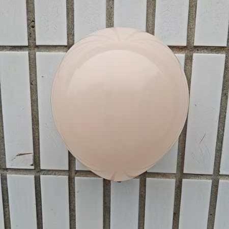 2024-11-15 12:53:14.jpg