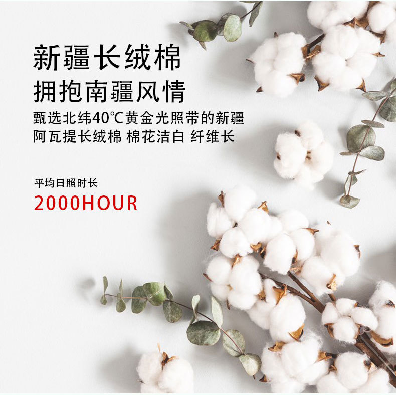 奇幻森林_05.jpg