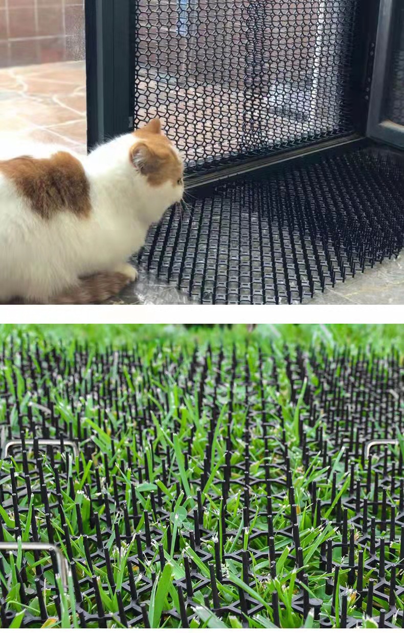 微信图片_202109031008251