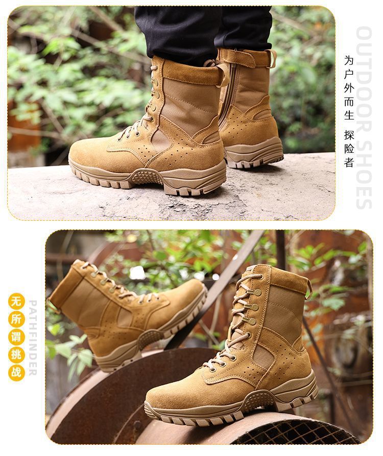 77816454-fc20-46ce-b3fd-fa52d6b2de72.jpe