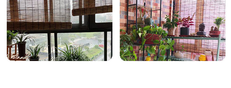 e827b18f-53aa-4ee9-9022-a7d6691473d8.jpe