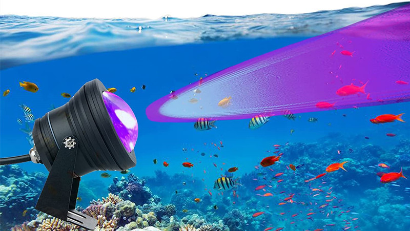 718gsQS+d9S._AC_SL1500__副本