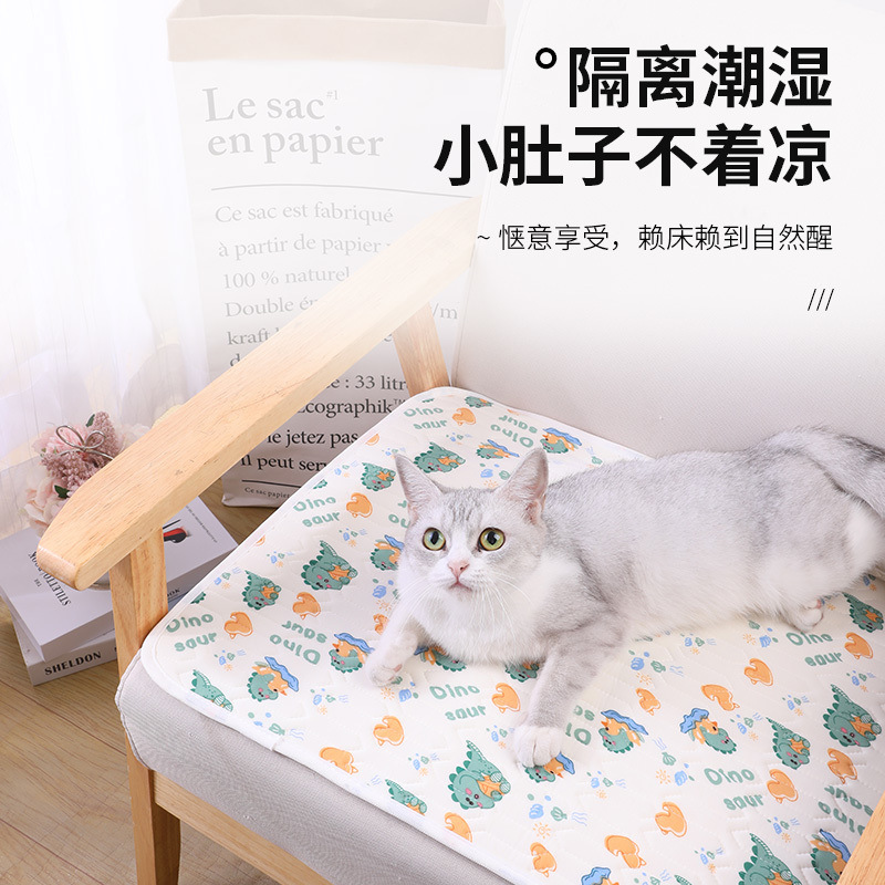 2c625798-9310-4b73-a223-9e458779eda2.jpe
