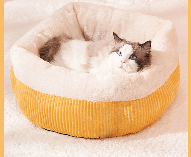 d344200b-b29b-4cb8-b7e9-02e19d8430da.jpe