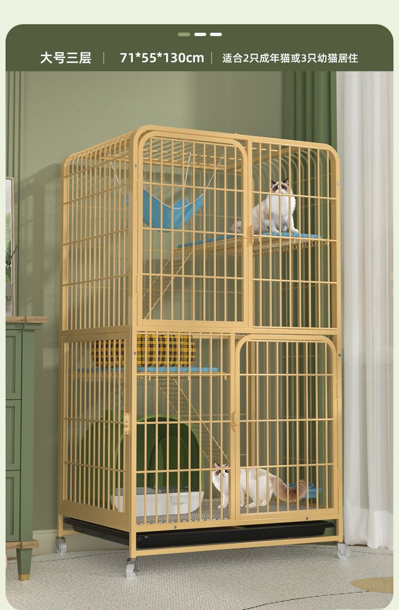 99851e59-dae1-4b81-9011-605cb741ddf4.jpe