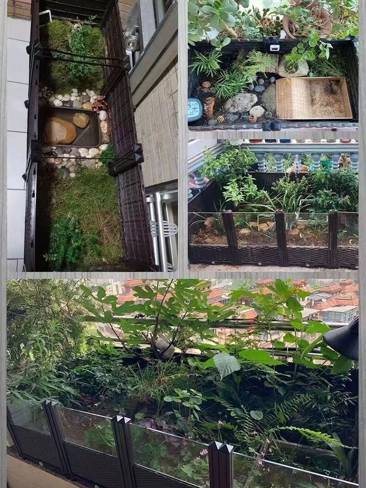 1915de5c-d74d-4fa0-8cdf-95c0715291a1.jpe