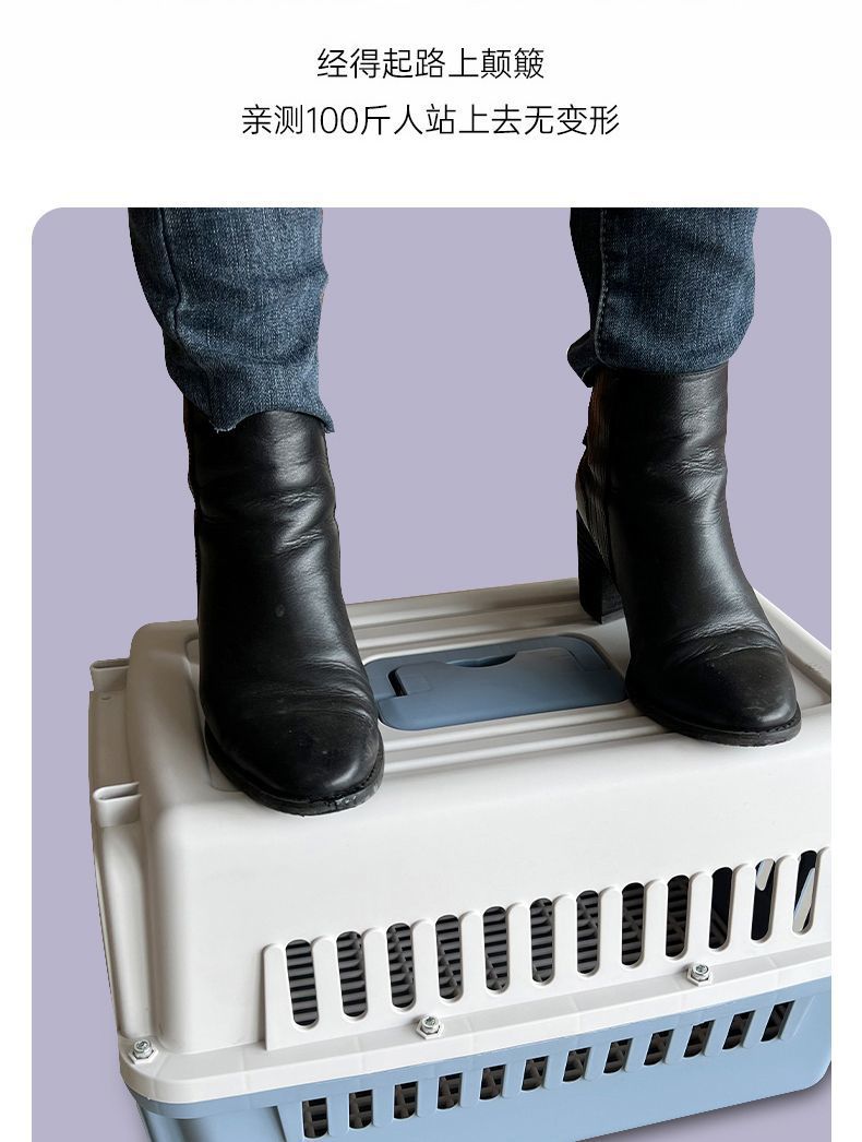 777bd131-b72c-4b4c-b17d-aed6baa9f63c.jpe