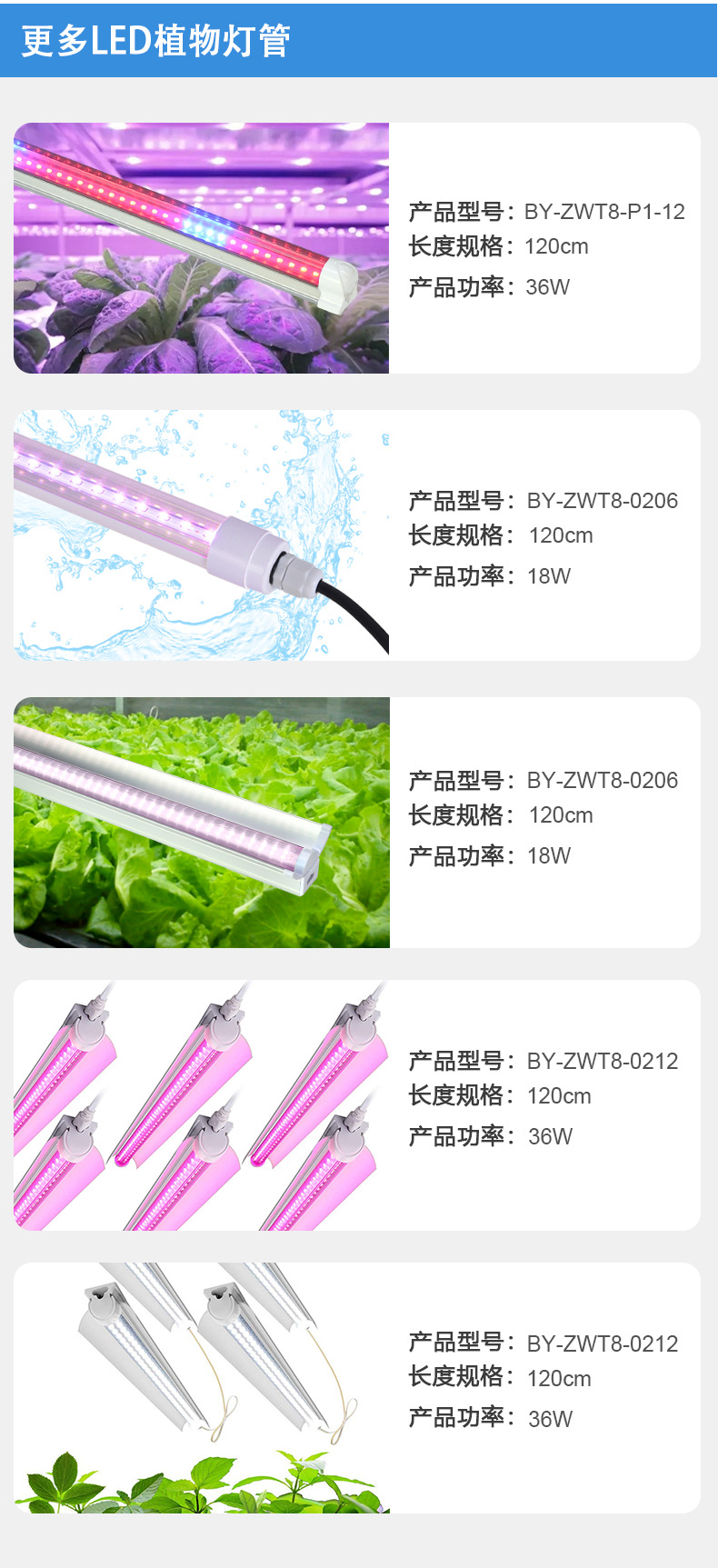 中文-常规T8-120cm_11.jpg