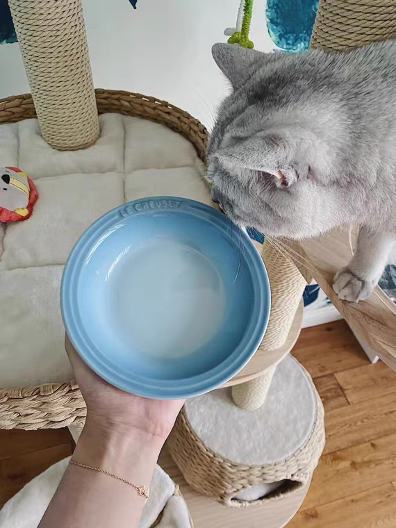 3063da09-dfe2-4496-88a7-09ccf68d0dcd.jpe