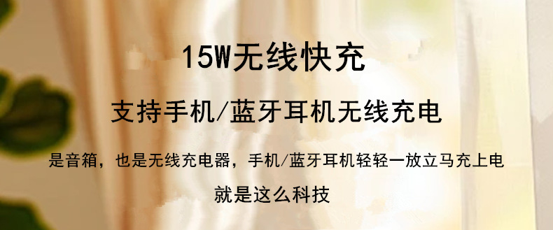 ZR8详情8