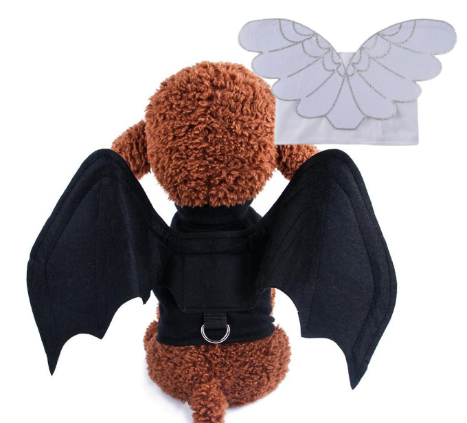 微信图片_20221024131853