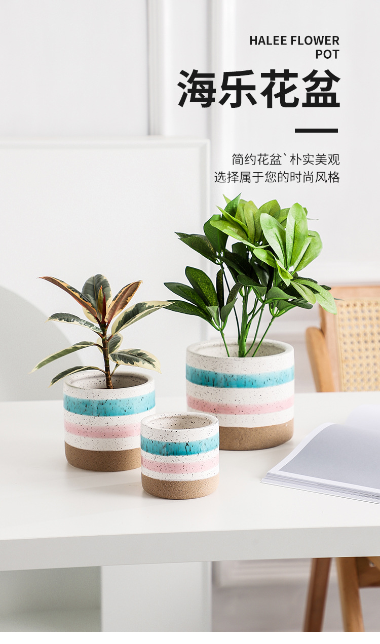 小清新彩虹花盆 1