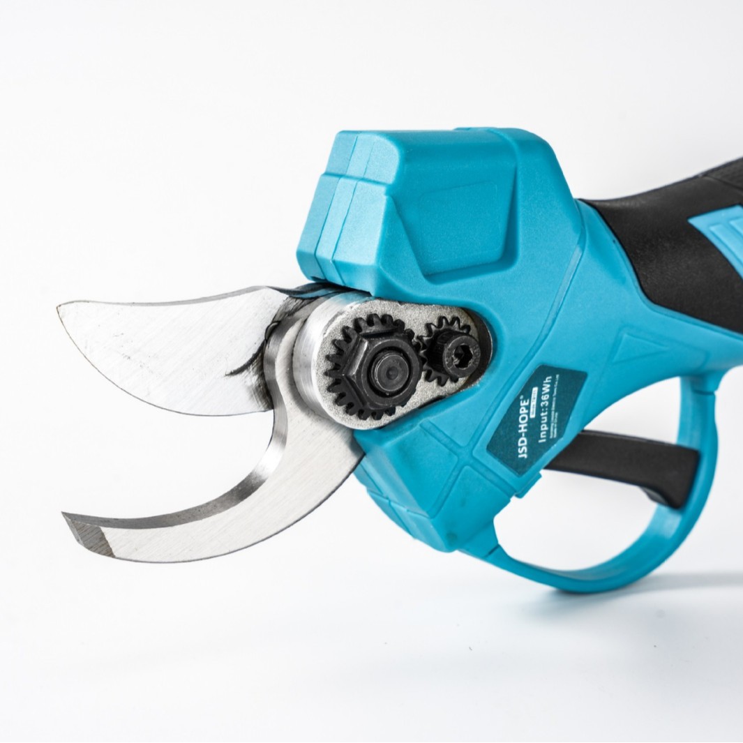 2025-04-21 13:56:44.jpg