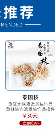 三利关联营销_03