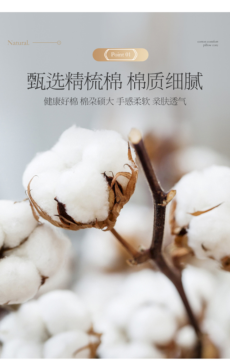 五星级贝壳枕芯_05