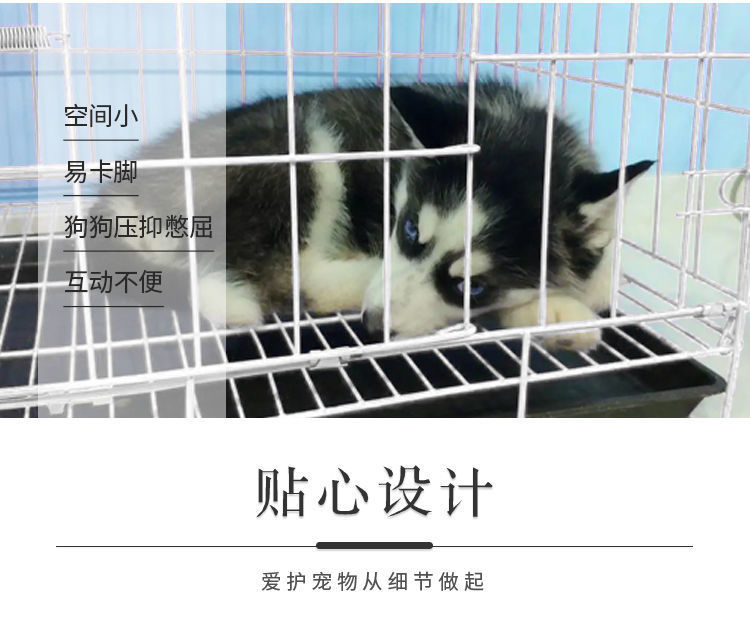 a82c4598-4318-4b72-995e-dd31ff01f1a6.jpe