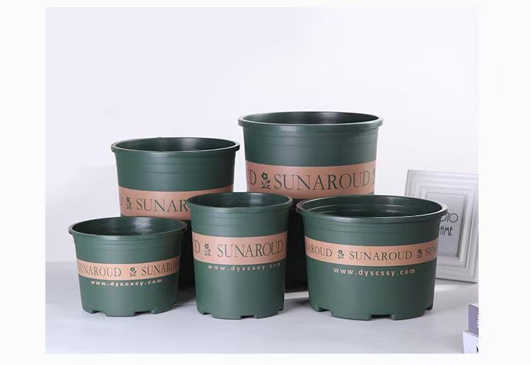 0fc0dddd-bd84-4dd9-a620-681c39ebd4c7.jpe