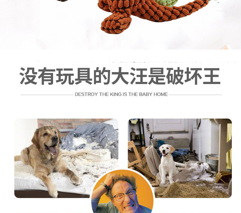 宠物毛绒恐龙玩具_02.jpg