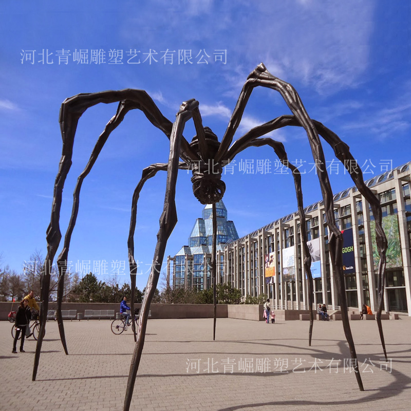 蜘蛛1 (5).jpg