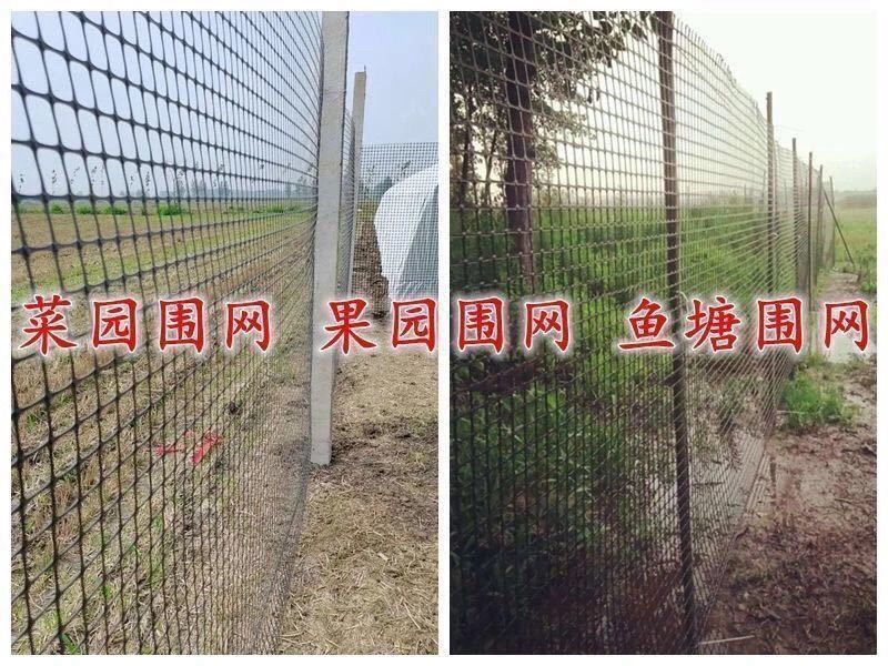 /O1CN01tZHQIQ235UKA3lCEJ_!!2220029797204-0-cib.jpg?x-oss-process=image/format,png