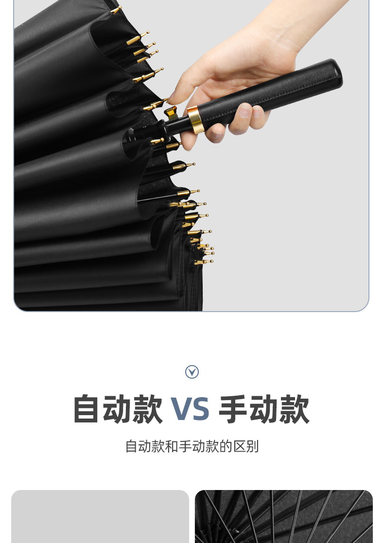 智贝下图_19.png