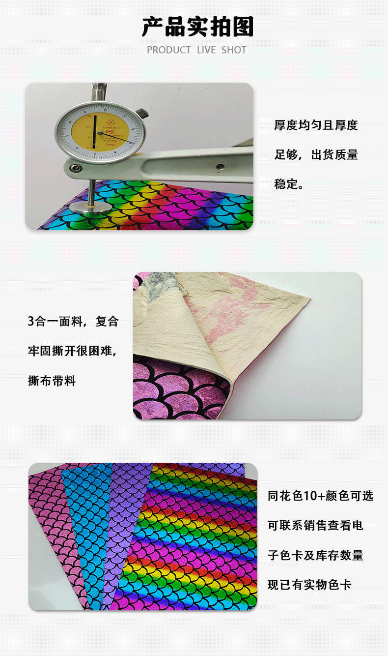 彩虹美人鱼潜水料_06