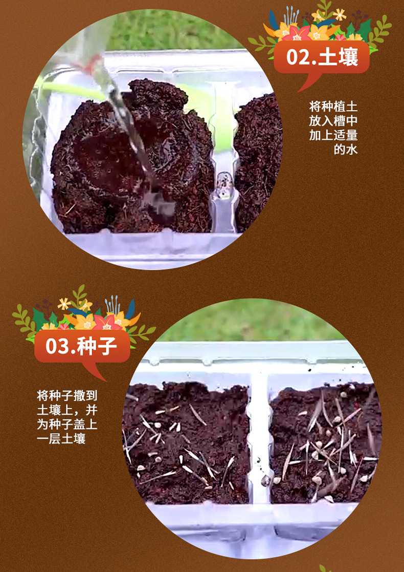 蘑菇屋小花园_05.jpg