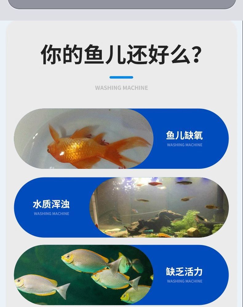 65193aa9-086f-4799-9176-ced6c0b86084.jpe